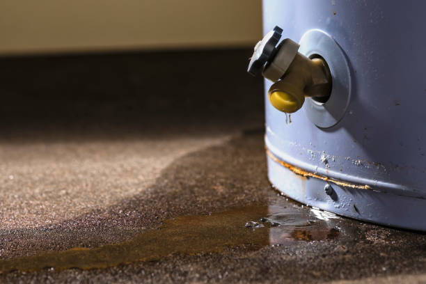 Best Water damage restoration near me  in Shenandoah Junction, WV
