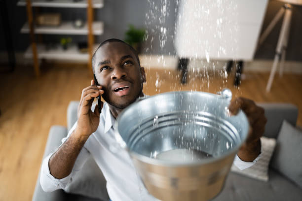 Best Water damage cleanup near me  in Shenandoah Junction, WV