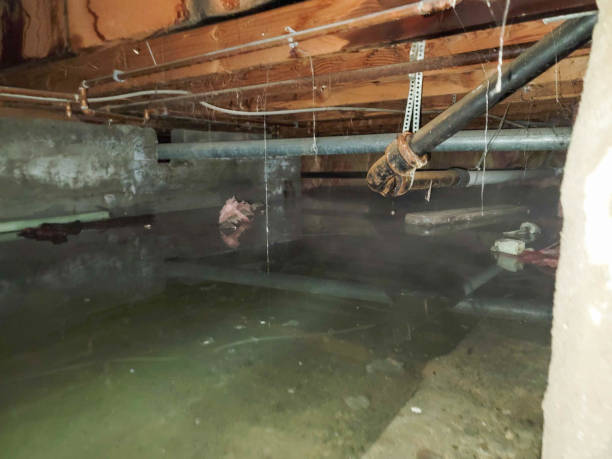 Best Water damage restoration near me  in Shenandoah Junction, WV