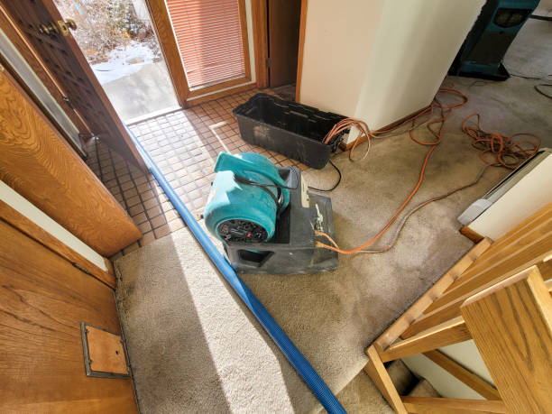 Best 24/7 water damage repair  in Shenandoah Junction, WV