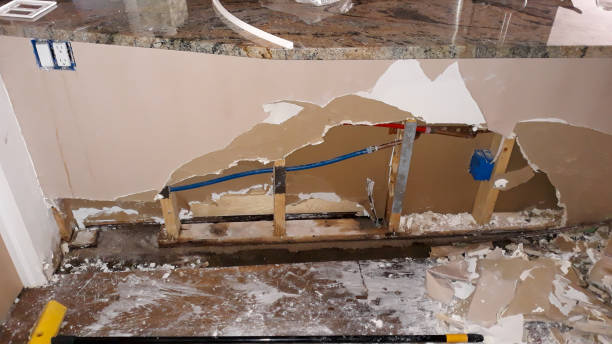 Best Sewage cleanup and water damage restoration  in Shenandoah Junction, WV