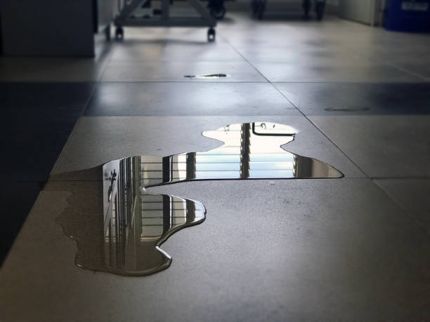 Best 24-hour water damage restoration  in Shenandoah Junction, WV