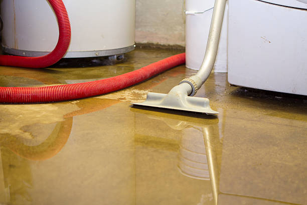 Best Commercial water damage restoration  in Shenandoah Junction, WV