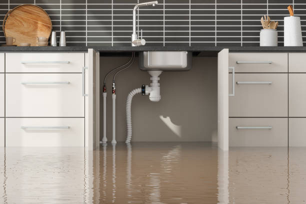 Best Flood restoration services  in Shenandoah Junction, WV